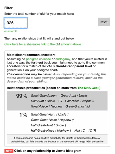 DNA Painter tool