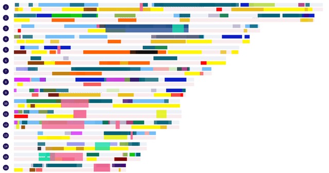 DNA Painter Chromosome Map