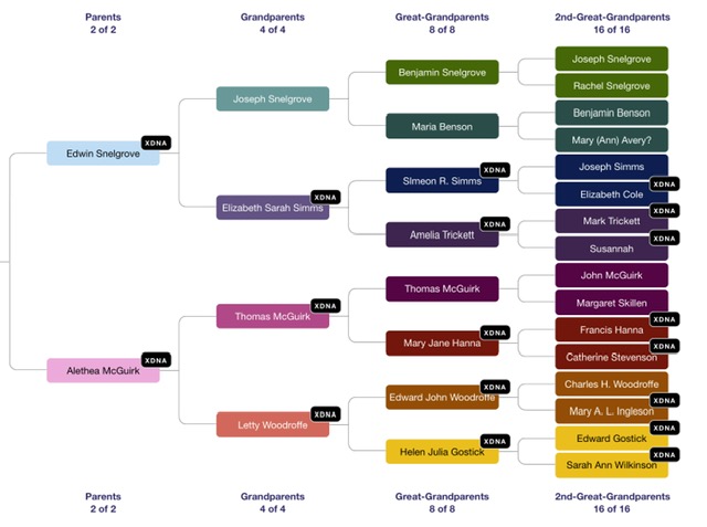 DNA Painter Family Tree X DNA