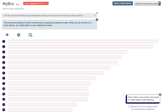 DNA Painter Chromosome Mapping