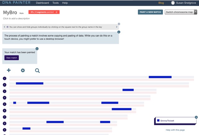 DNA Painter Chromosome Map