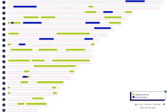 Cousin DNA Segment Matches