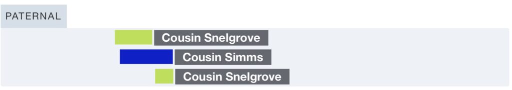 DNA Segment Matches