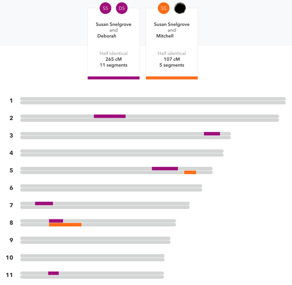 23andMe DNA Chromosome Viewer