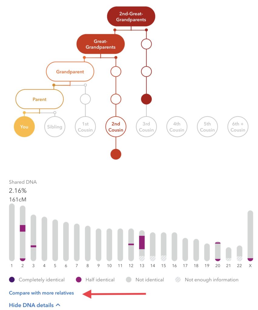 23andMe chromosome browser